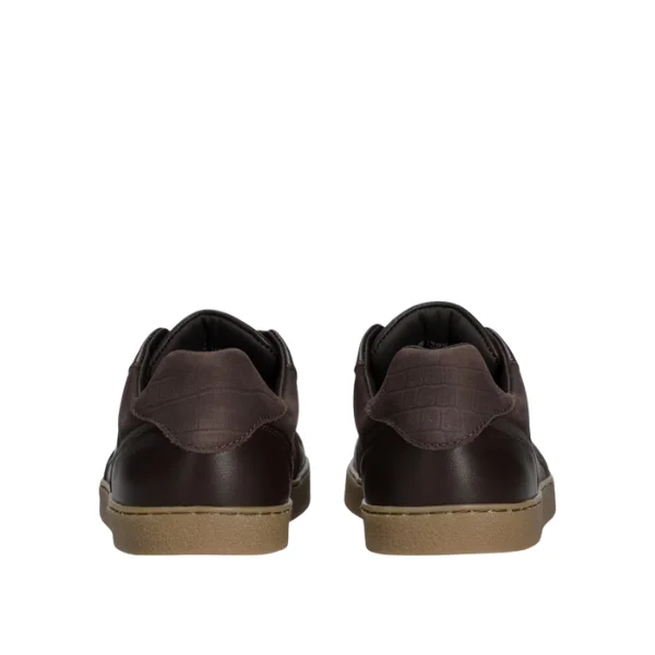 GROUNDIES - Nova Special - Espresso